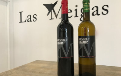 ¿Tinto o Blanco? Ya están aquí nuestros vinos gallegos